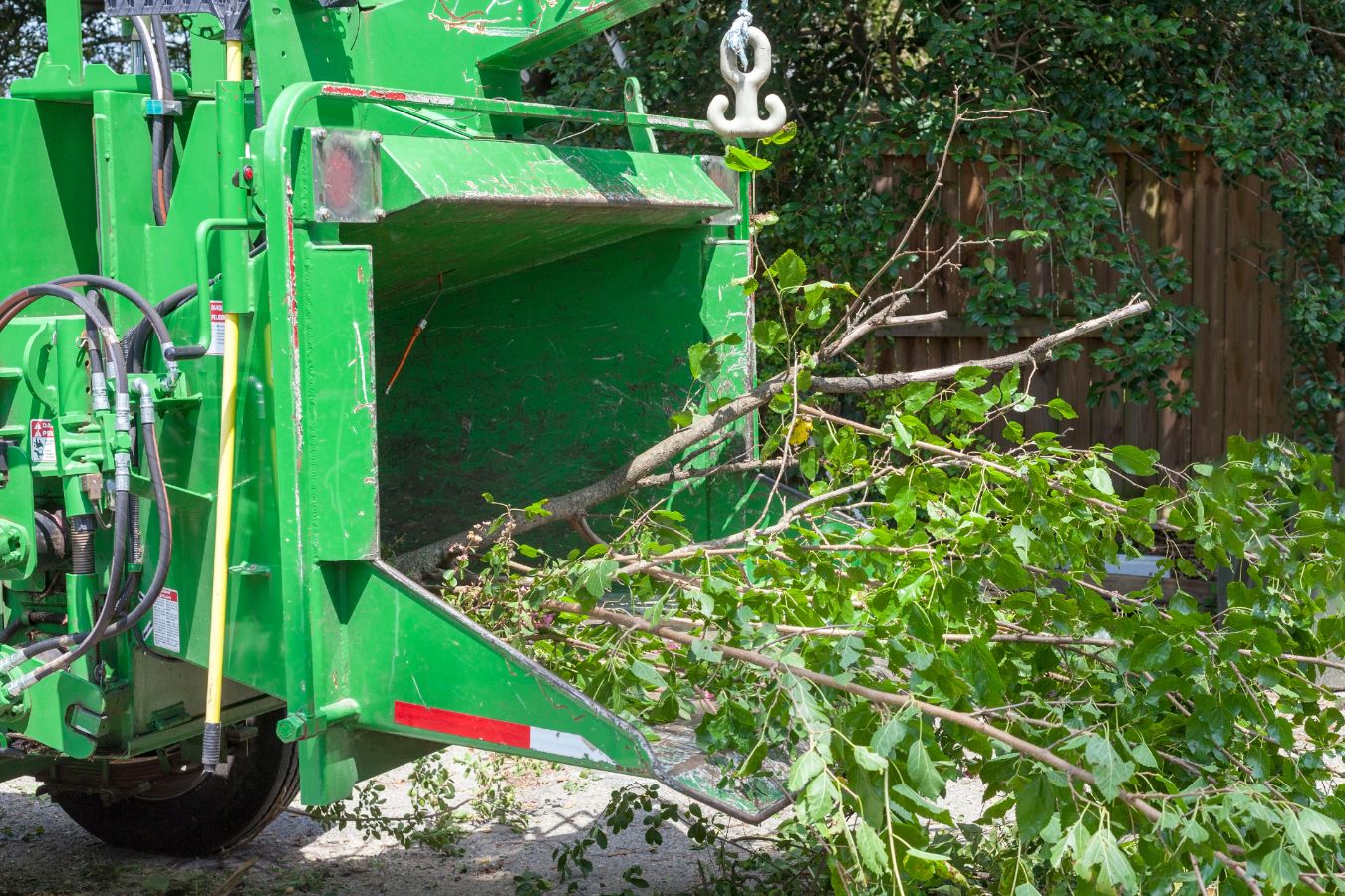 Tree Care in Atoka, TN